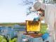 Безробітних Кіровоградщини запрошують на курси з бджільництва