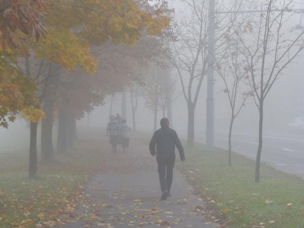 Новина Кіровоградщина: Водіїв закликають через туман бути уважними на дорозі Ранкове місто. Кропивницький