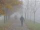 Кіровоградщина: Водіїв закликають через туман бути уважними на дорозі