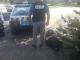 Затримали на хабарі патрульного поліції Кіровоградщини