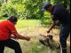 Олександрівські рятувальники визволили козу з каналізаційного люку
