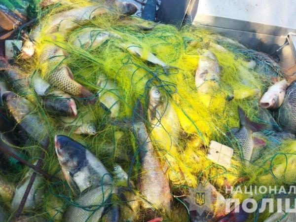 Новина На Світловодщині затримали браконьєра з 36 кілограмами риби Ранкове місто. Кропивницький
