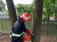 Кіровоградщина: Рятувальники розпилюють аварійні дерева