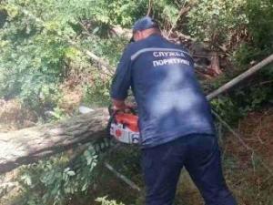 Новина Рятувальники прибирають дерева з доріг Ранкове місто. Кропивницький
