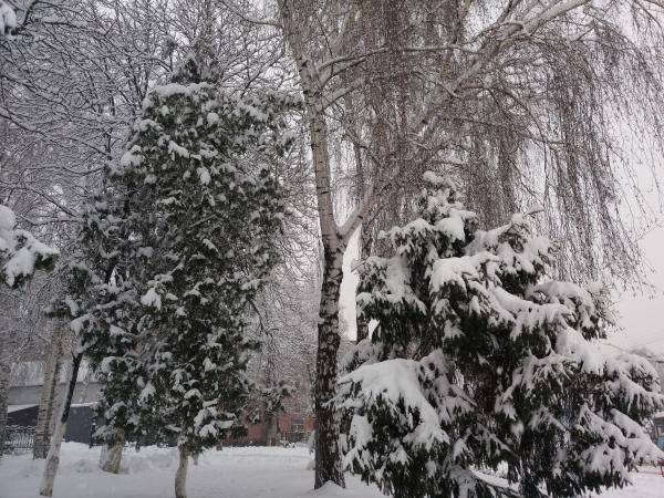Новина Погода у Кропивницькому 20 січня, у неділю Ранкове місто. Кропивницький