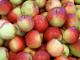 Кропивницький: Чоловік, який торгує яблуками, дав спростування щодо їхнього місця зберігання (ВІДЕО)