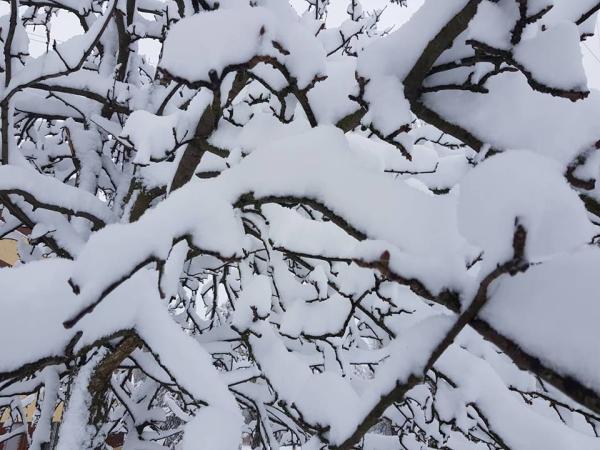 Новина Чи закінчиться сьогодні снігопад у Кропивницькому? Ранкове місто. Кропивницький