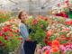 Від вирощування квітів до продажу: що треба знати і де навчитися