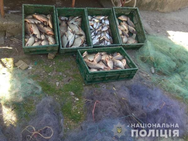 Новина На Кіровоградщині поліцейські разом з працівниками рибохорони затримали браконьєра Ранкове місто. Кропивницький