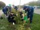 Як патрульні висаджували дерева у Кропивницькому
