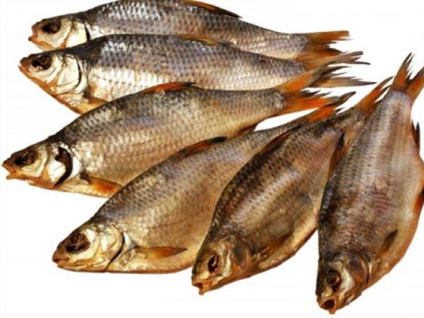 Новина Кропивничан застерегли від вживання дніпровської риби Ранкове місто. Кропивницький