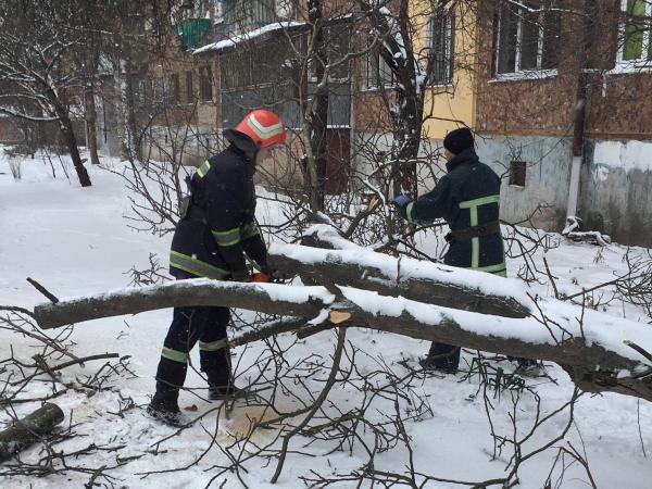 Новина Кропивницький: Рятувальники розпиляли та прибрали аварійні дерева Ранкове місто. Кропивницький