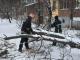 Кропивницький: Рятувальники розпиляли та прибрали аварійні дерева