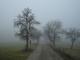 Сьогодні на Кіровоградщині очікується туман