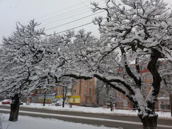 Новина Погода у Кропивницькому на Тетяну, 25 січня Ранкове місто. Кропивницький
