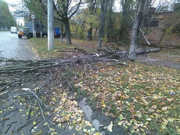 Новина У Кропивницькому внаслідок поривів сильного вітру на авто впало сухе дерево Ранкове місто. Кропивницький