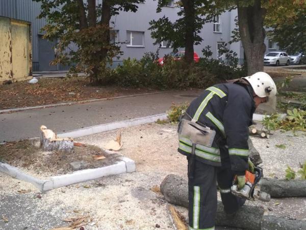 Новина Рятувальники Кіровоградської області двічі прибирали аварійні дерева Ранкове місто. Кропивницький