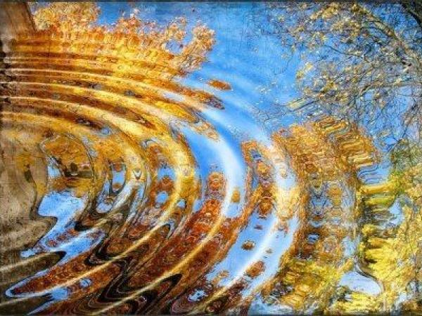 Новина Кропивницькі гімназисти зустрічають осінь віршами. «Жовтогарячий листопад..." (ВІДЕО) Ранкове місто. Кропивницький