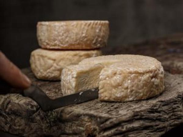 Новина На AGROEXPO-2017 обиратимуть найкращий крафтовий сир Ранкове місто. Кропивницький