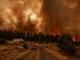 Рекомендації громадянам України у зв'язку з масштабними лісовими пожежами в Греції та Північній Македонії