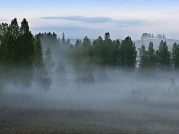Новина У Кропивницькому очікується туман Ранкове місто. Кропивницький