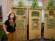 Кропивницький: У Музеї мистецтв представили експозицію «Зеленеє свято у цілющих травах» (ФОТО)