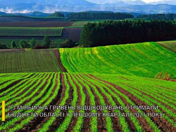 Новина Бюджети Кіровоградщини отримали два мільйони за втрати сільськогосподарського виробництва Ранкове місто. Кропивницький