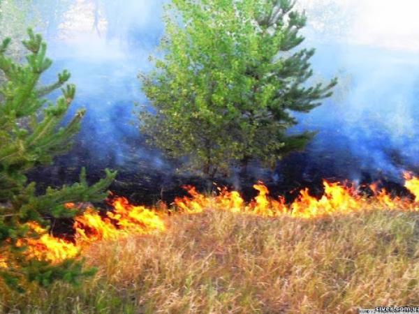 Новина За порушення вимог пожежної безпеки у природних екосистемах передбачена відповідальність Ранкове місто. Кропивницький