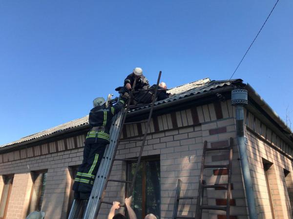 Новина Олександрівка: рятувальники зняли з даху будинку чоловіка Ранкове місто. Кропивницький