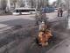 По вулиці Полтавська на дорогу впало дерево. Рух тролейбусів зупинено (ФОТО)