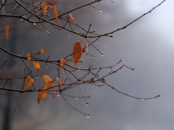 Новина Погода у Кропивницькому 20 листопада Ранкове місто. Кропивницький