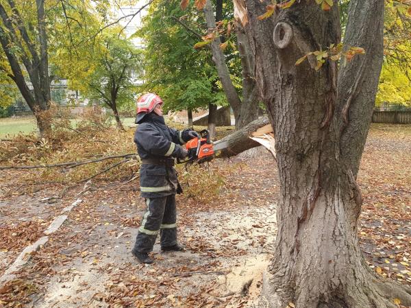 Новина Кропивницькі рятувальники двічі розпилювали та прибирали аварійні дерева Ранкове місто. Кропивницький