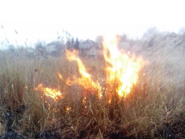 Новина На Кіровоградщині сталося три пожежі на відкритій території Ранкове місто. Кропивницький