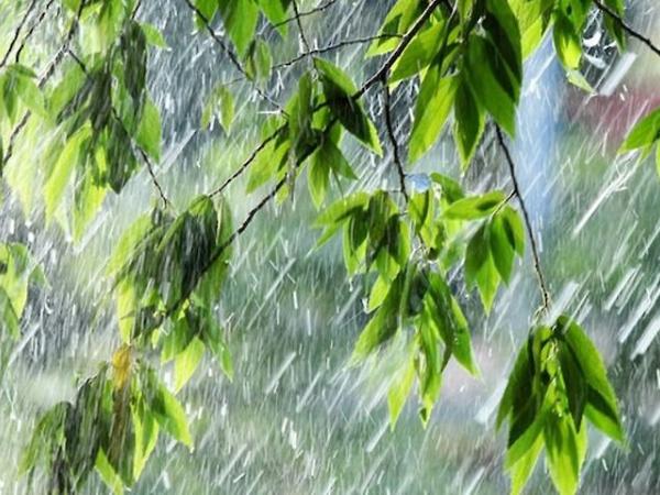 Новина В Україні очікуються грозові зливи та посилення вітру Ранкове місто. Кропивницький