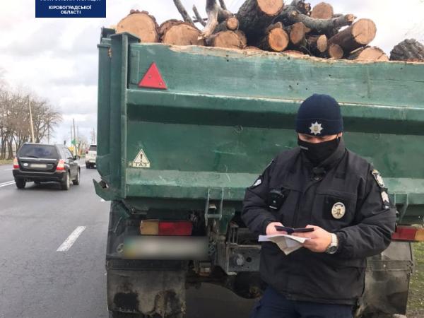 Новина Копи зупинили водія, який перевозив деревину без документів Ранкове місто. Кропивницький