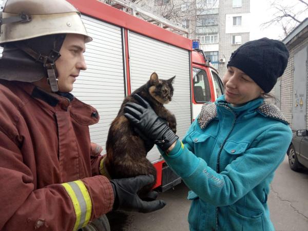Новина Кіровоградщина: У Світловодську рятувальники зняли кота з дерева Ранкове місто. Кропивницький