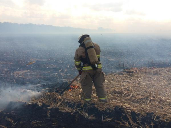 Новина Кіровоградська область: Вогнеборці загасили чотири пожежі на відкритій місцевості Ранкове місто. Кропивницький