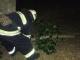 Кіровоградщина: Рятувальники прибрали аварійну гілку, що впала на дорогу