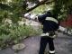 Кіровоградська область: Рятувальники двічі розпилювали аварійні дерева