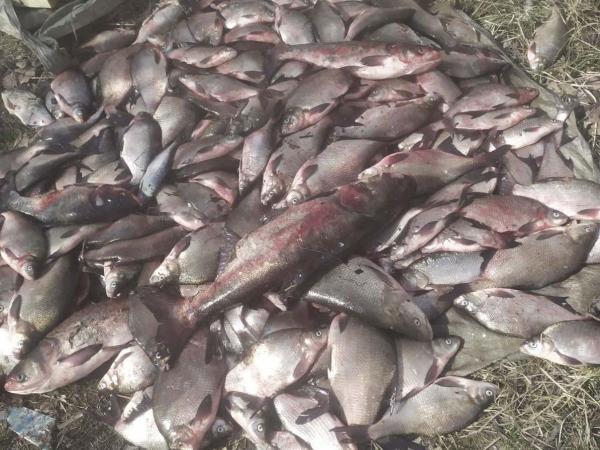 Новина На Кременчуцькому водосховищі поліція затримала трьох браконьєрів з рибою Ранкове місто. Кропивницький