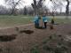 Кропивницький: Учні Кущівської гімназії посадили дерева Перемоги