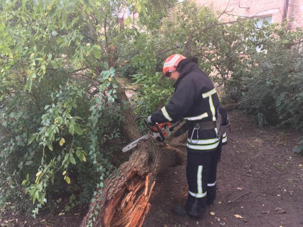 Новина На Кіровоградщині рятувальники прибирають аварійні дерева після зливи Ранкове місто. Кропивницький