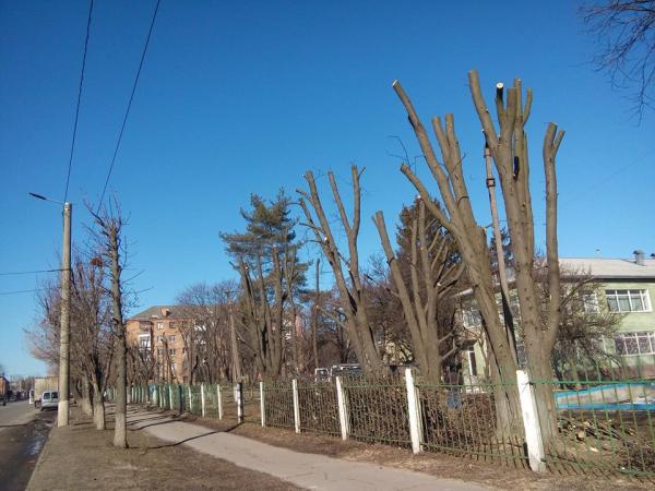 Новина «Дихати по-людськи»: У Кропивницькому стартує інформаційна кампанія на захист дерев Ранкове місто. Кропивницький