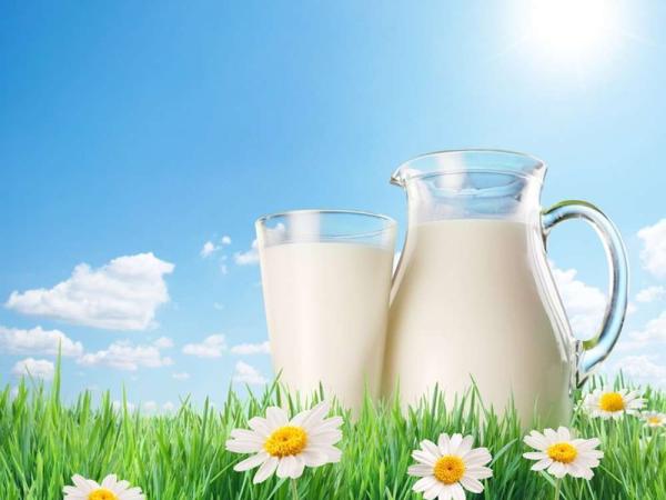 Новина На «Агро-2019» обговорили нову систему контролю безпечності та якості молока Ранкове місто. Кропивницький