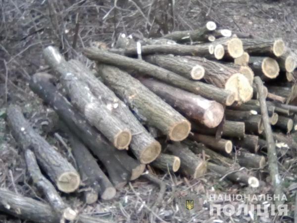 Новина На Кіровоградщині поліція спіймала двадцять громадян, які незаконно вирубували дерева Ранкове місто. Кропивницький