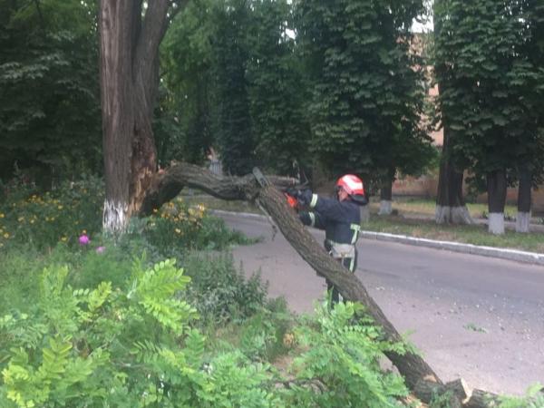 Новина Кропивницький: На Шатила аварійна гілка впала на дорогу Ранкове місто. Кропивницький