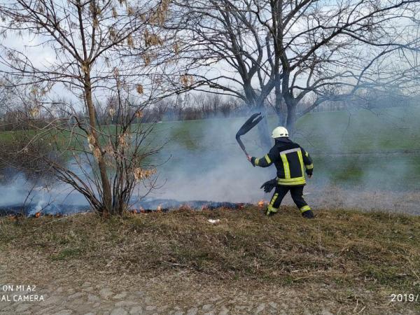Новина Кіровограсдька область: Рятувальники загасили п’ять займань у екосистемі Ранкове місто. Кропивницький