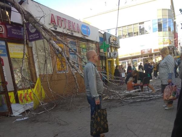 Новина В поліції підтвердили падіння сухого дерева на перехожу у Кропивницькому Ранкове місто. Кропивницький