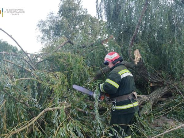 Новина У Вільшанці на легковик впало аварійне дерево (ВІДЕО) Ранкове місто. Кропивницький