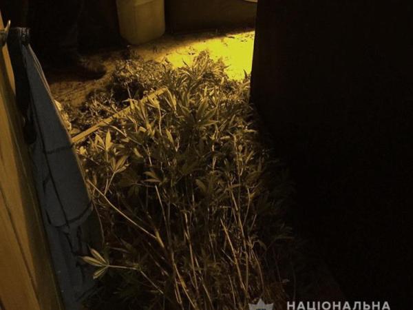 Новина Кіровоградщина: У жителя Олександрії поліцейські знайшли зброю та наркотичні засоби Ранкове місто. Кропивницький